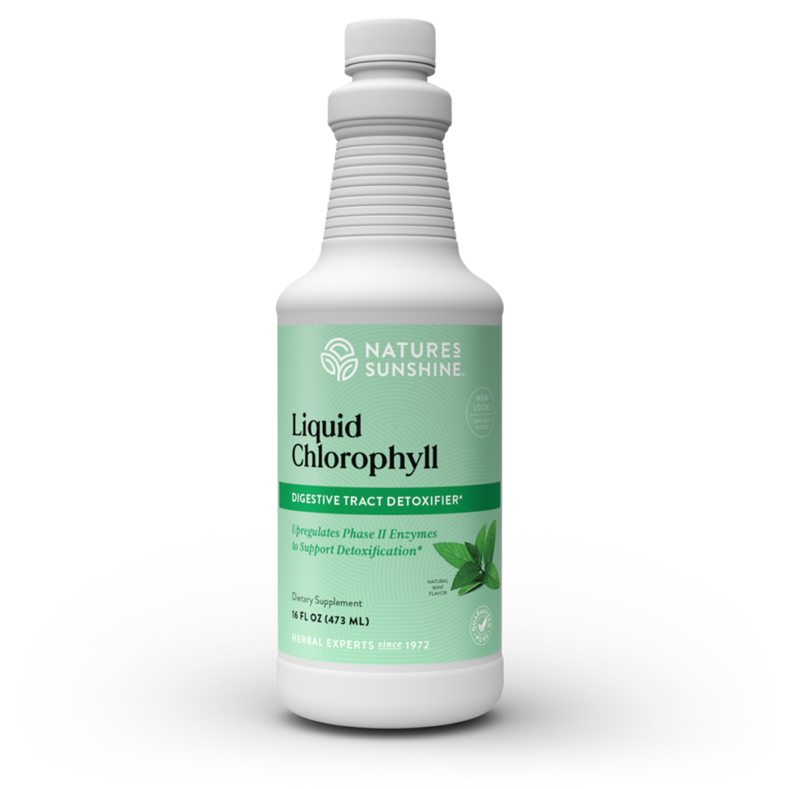 Nature's Sunshine Chlorophyll Es, Liquid(16 Fl. Oz.)