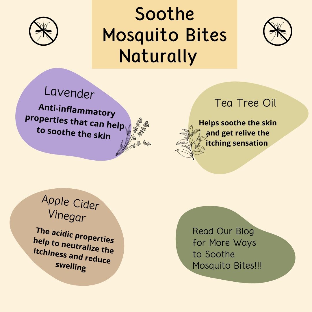 blog-natural-remedies-to-soothe-mosquito-bites-health-simplified