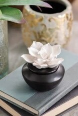 Airome' Porcelain Aroma Diffuser w/peppermint oil - gardenia