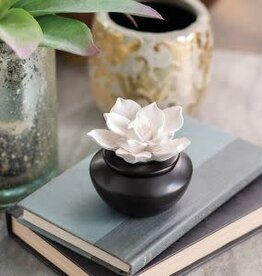 Airome' Porcelain Aroma Diffuser w/peppermint oil - gardenia