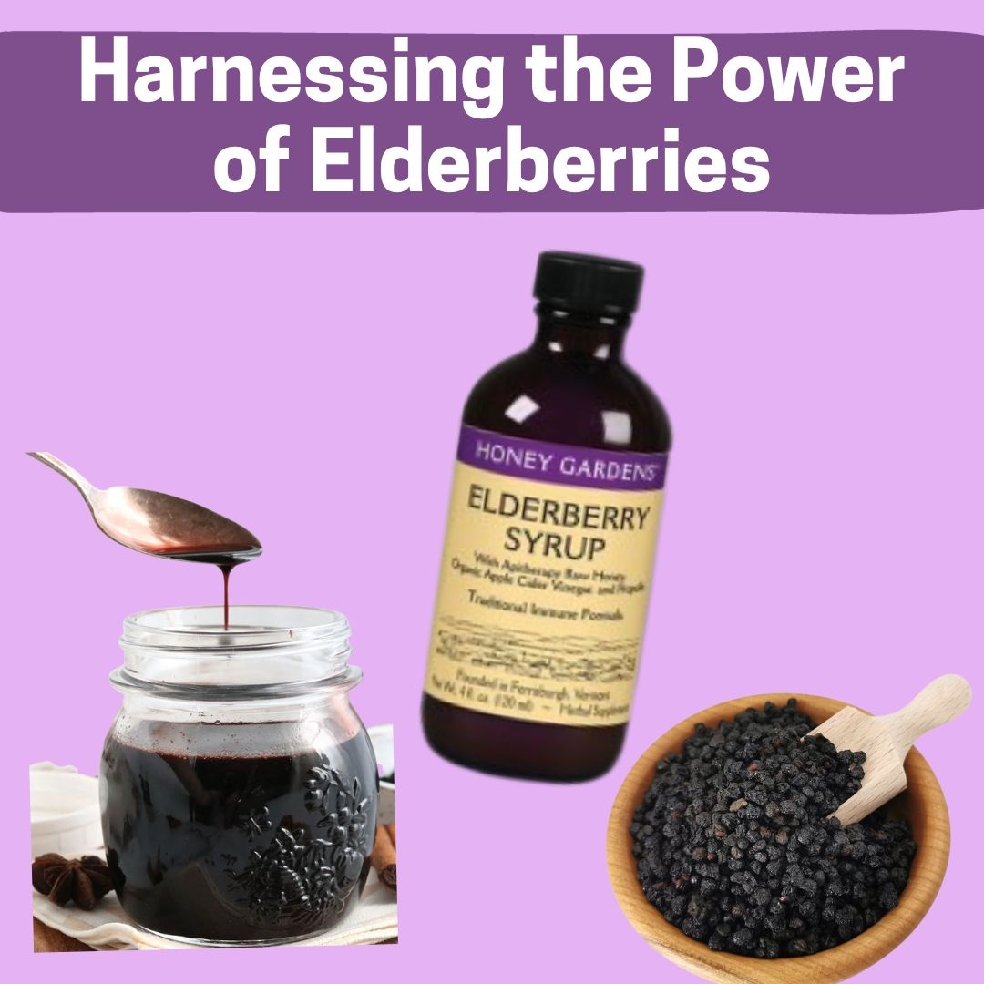 Harnessing the Power of Elderberries