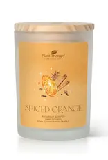 Plant Therapy Spiced Orange Naturally Scented Candle