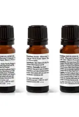 Plant Therapy Christmas Traditions Essential Oil Blend 3 Set
