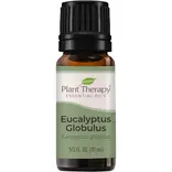 Plant Therapy Eucalyptus Globulus Essential Oil 10 mL