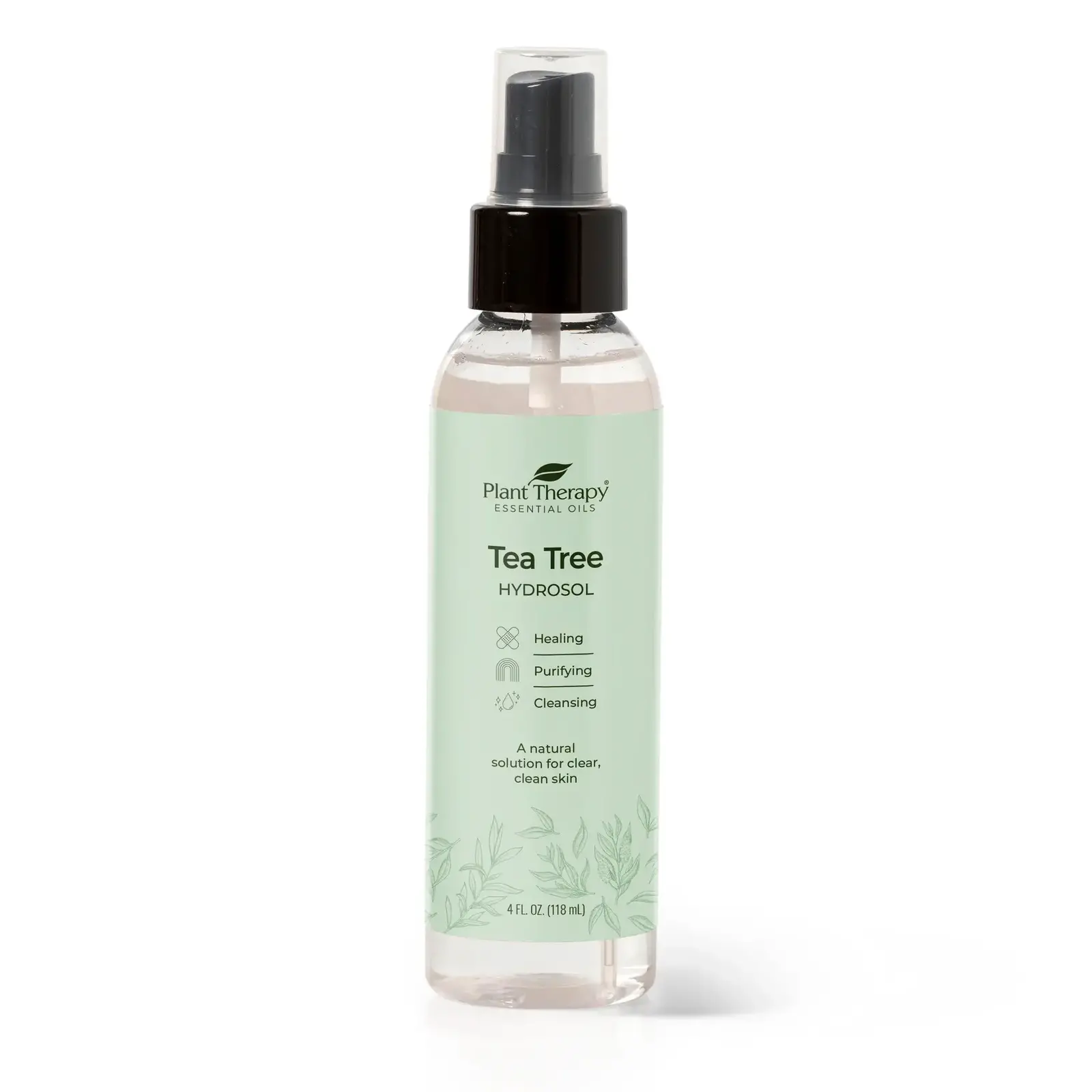 Plant Therapy Tea Tree Organic Hydrosol 4 oz