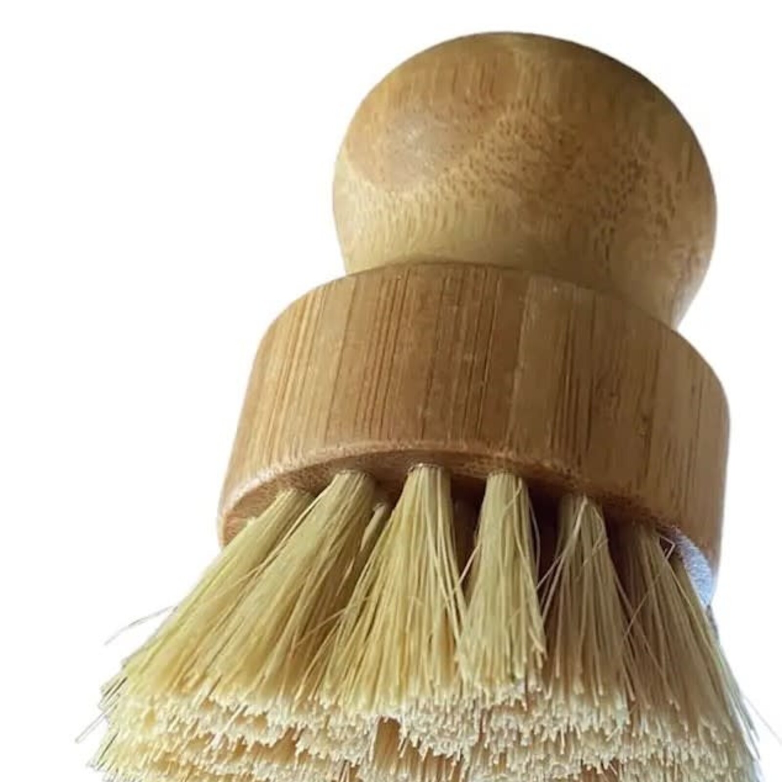 Dish Brush