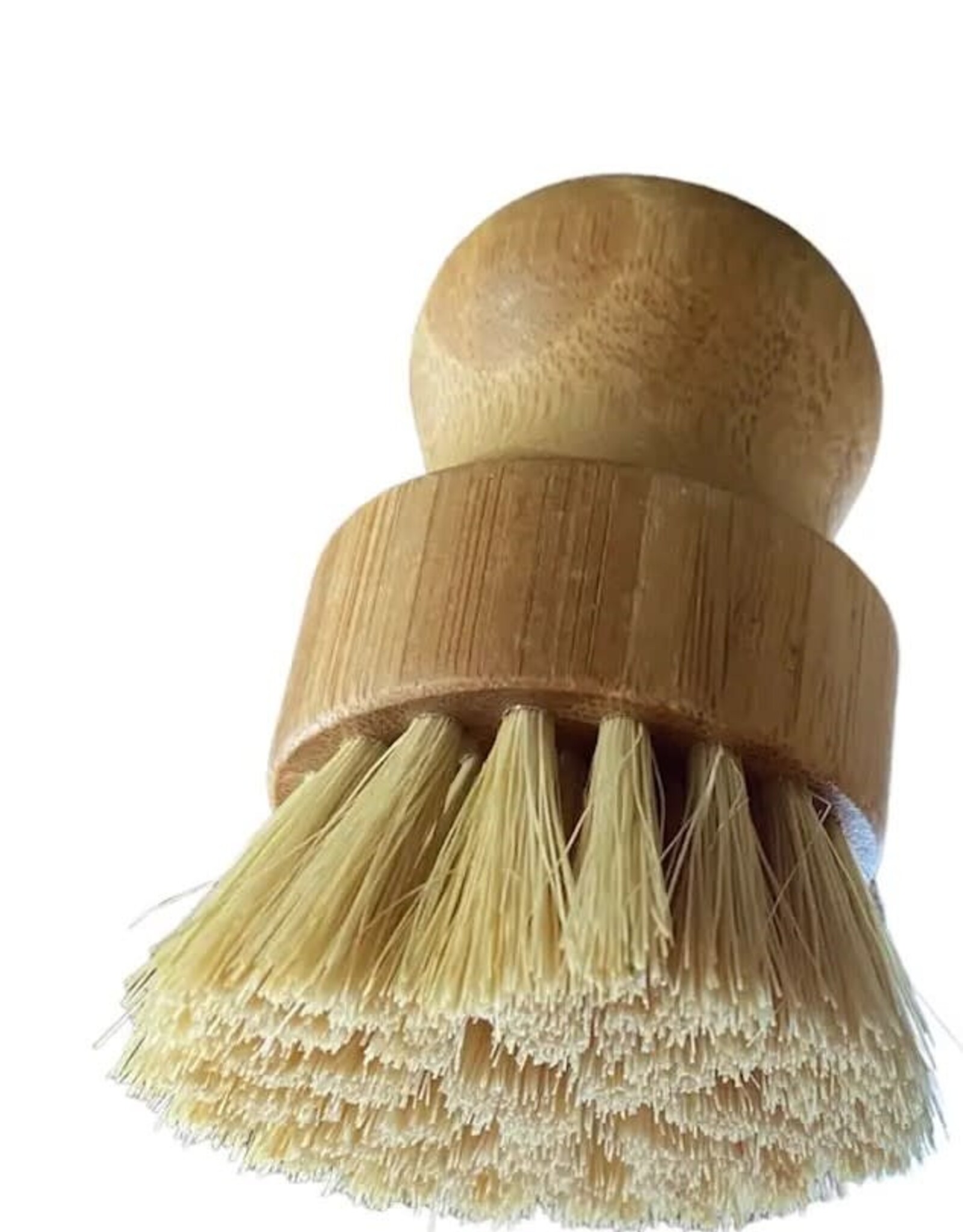 Dish Brush