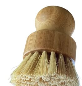 Dish Brush