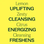 Plant Therapy Lemon Essential Oil 10 mL