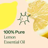 Plant Therapy Lemon Essential Oil 10 mL