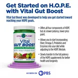 Vital Planet Vital GUT BOOST 230g