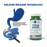 Vital Planet Vital Digest 90ct