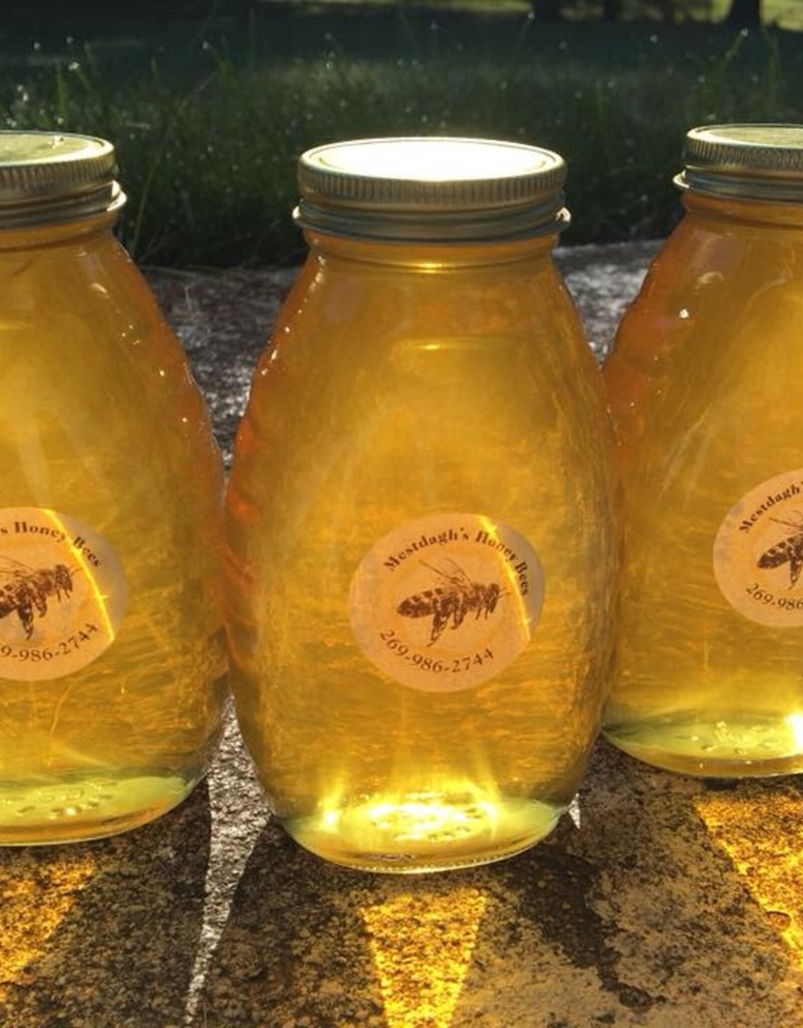 Mestdaugh's Honey - 2 lb