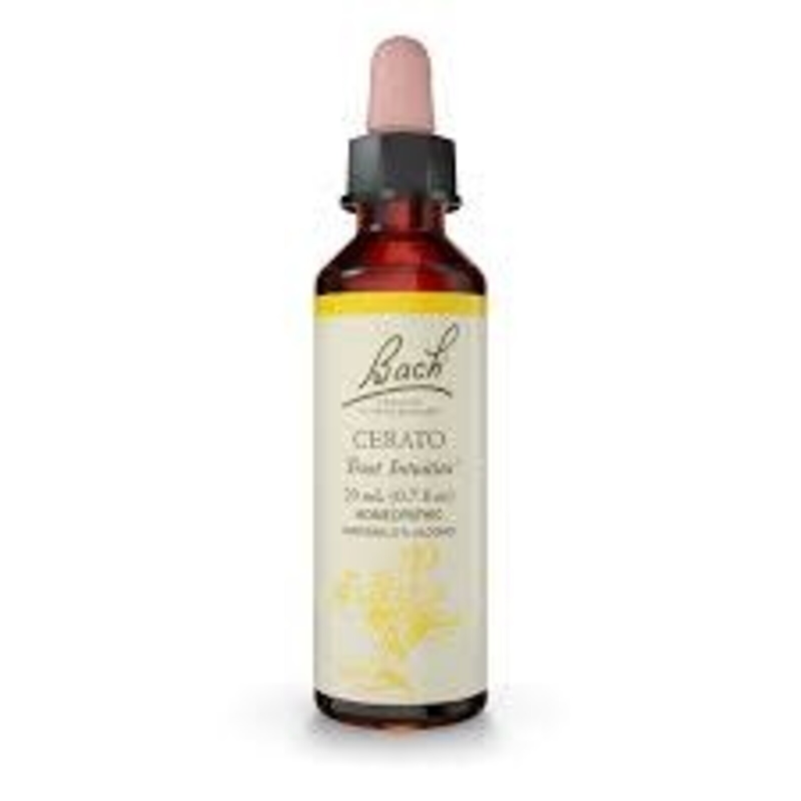 Bach Bach Flower Essence - Cerato