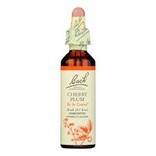 Bach Bach Flower Essence - Cherry Plum