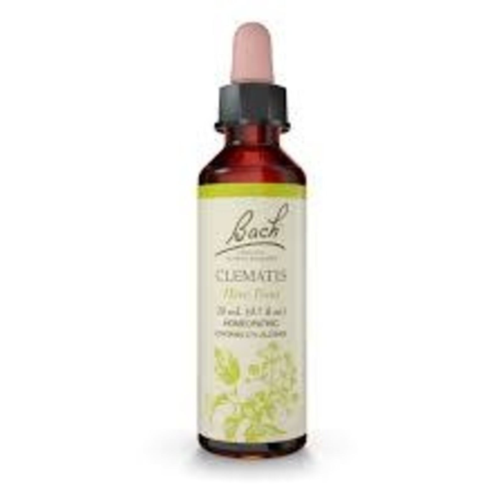 Bach Bach Flower Essence - Clematis
