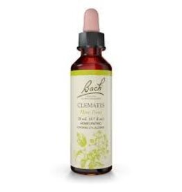 Bach Bach Flower Essence - Clematis
