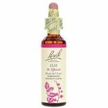 Bach Bach Flower Essence - Elm