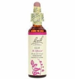 Bach Bach Flower Essence - Elm