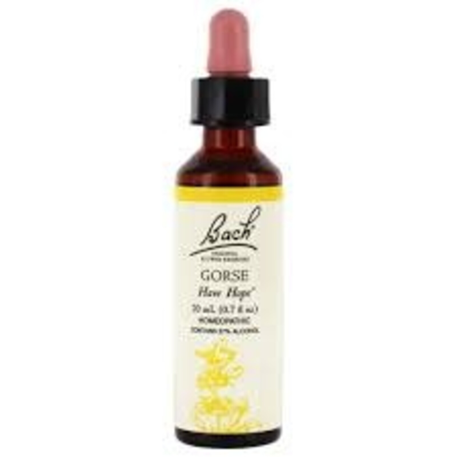 Bach Bach Flower Essence - Gorse
