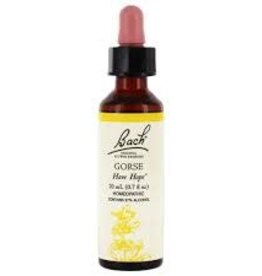 Bach Bach Flower Essence - Gorse