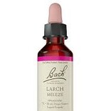 Bach Bach Flower Essence - Larch
