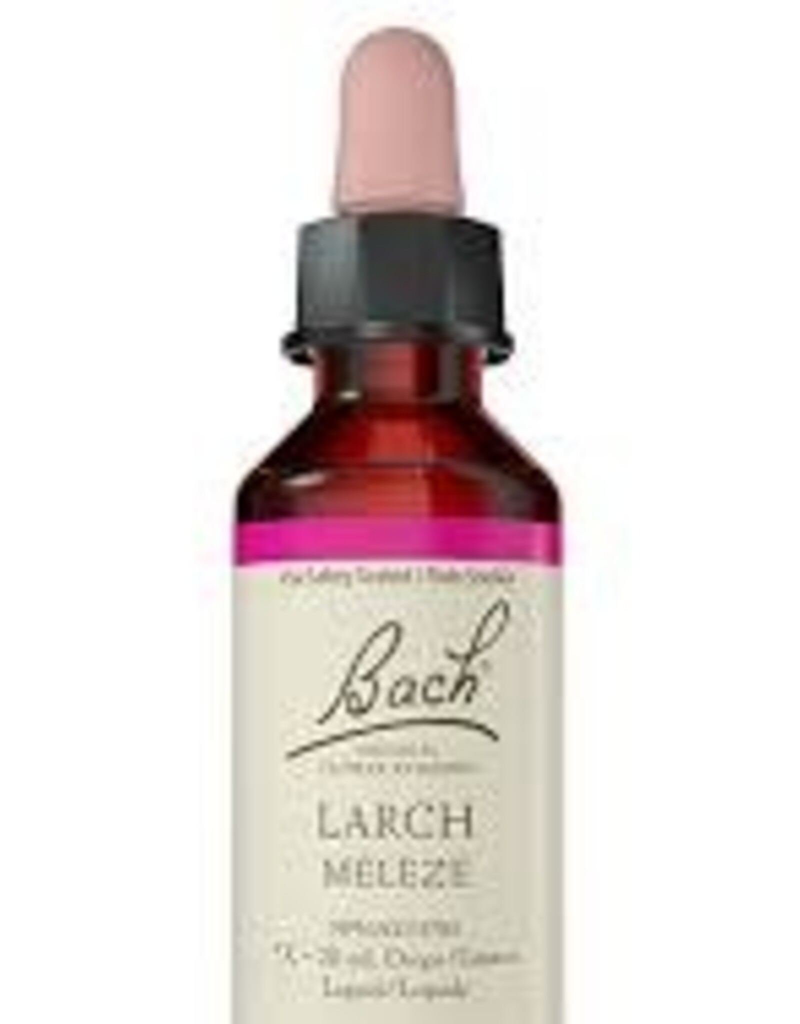 Bach Bach FE - Larch