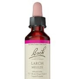 Bach Bach Flower Essence - Larch