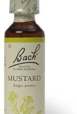 Bach Bach FE - Mustard