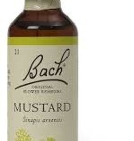 Bach Bach Flower Essence - Mustard