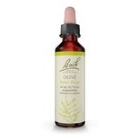 Bach Bach Flower Essence - Olive