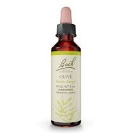 Bach Bach Flower Essence - Olive