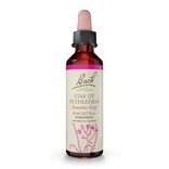 Bach Bach Flower Essence - Star of Bethlehem