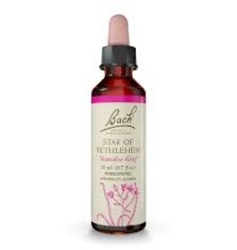 Bach Bach Flower Essence - Star of Bethlehem