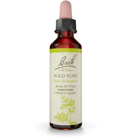 Bach Bach Flower Essence - Wild Rose