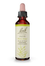 Bach Bach FE - Olive