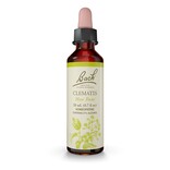 Bach Bach Flower Essence - Clematis