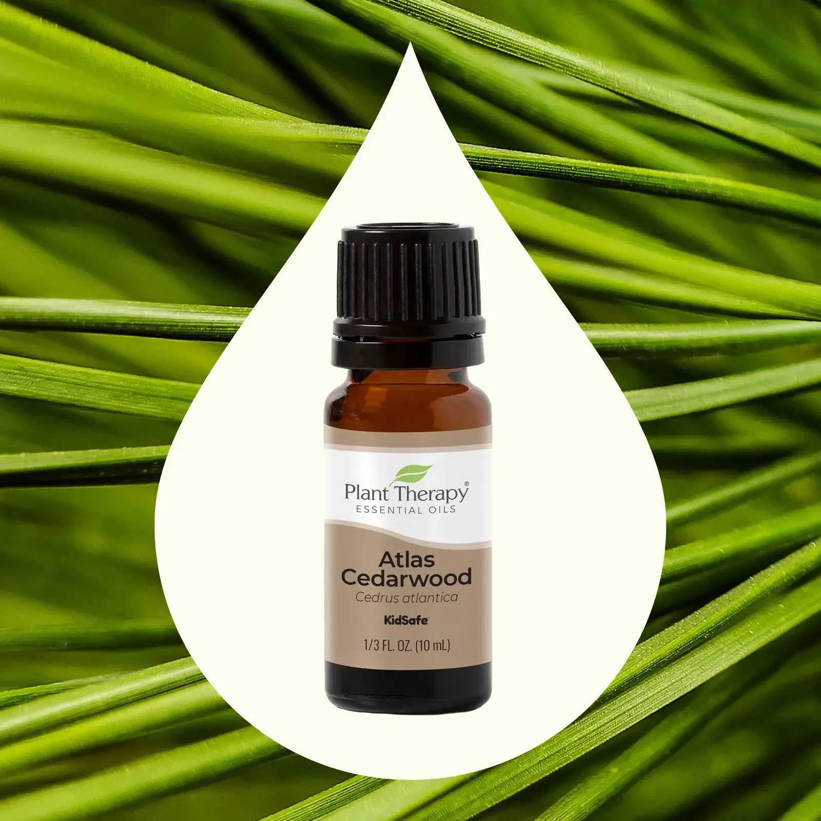 Plant Therapy Cedarwood Atlas Essential Oil 10 mL