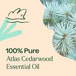 Plant Therapy Cedarwood Atlas Essential Oil 10 mL