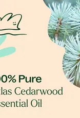 Plant Therapy Cedarwood Atlas Essential Oil 10 mL