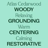 Plant Therapy Cedarwood Atlas Essential Oil 10 mL
