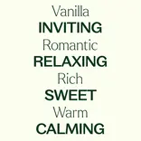 Plant Therapy Vanilla Botanical Extract 10 ml