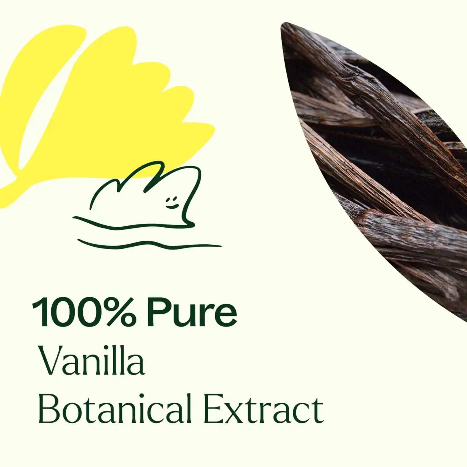 Plant Therapy Vanilla Botanical Extract 10 ml