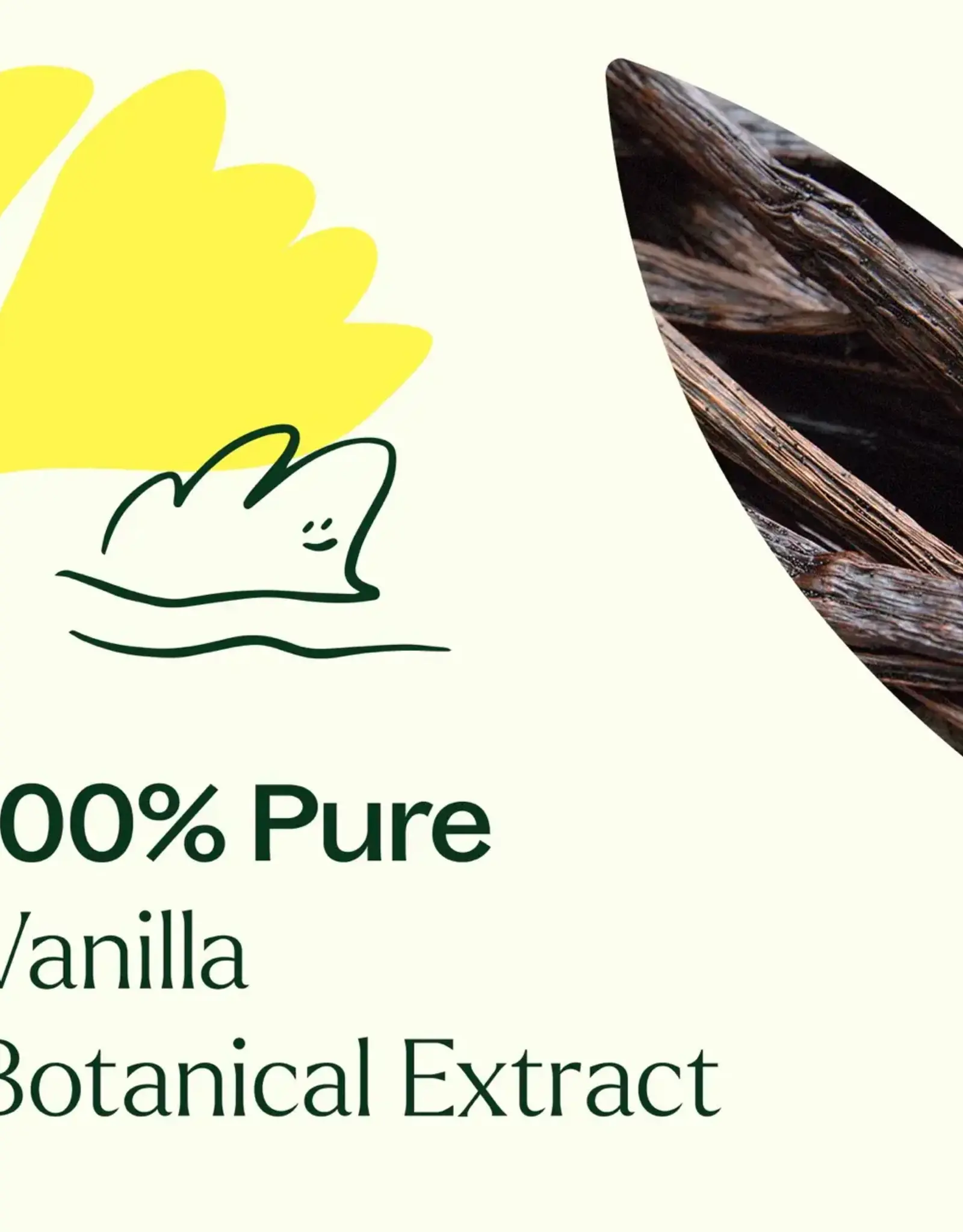 Plant Therapy Vanilla Botanical Extract 10 ml