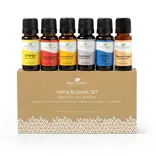 Plant Therapy Top 6 Blends Set