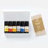 Plant Therapy Top 6 Blends Set