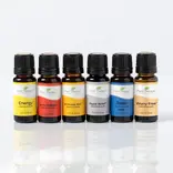Plant Therapy Top 6 Blends Set