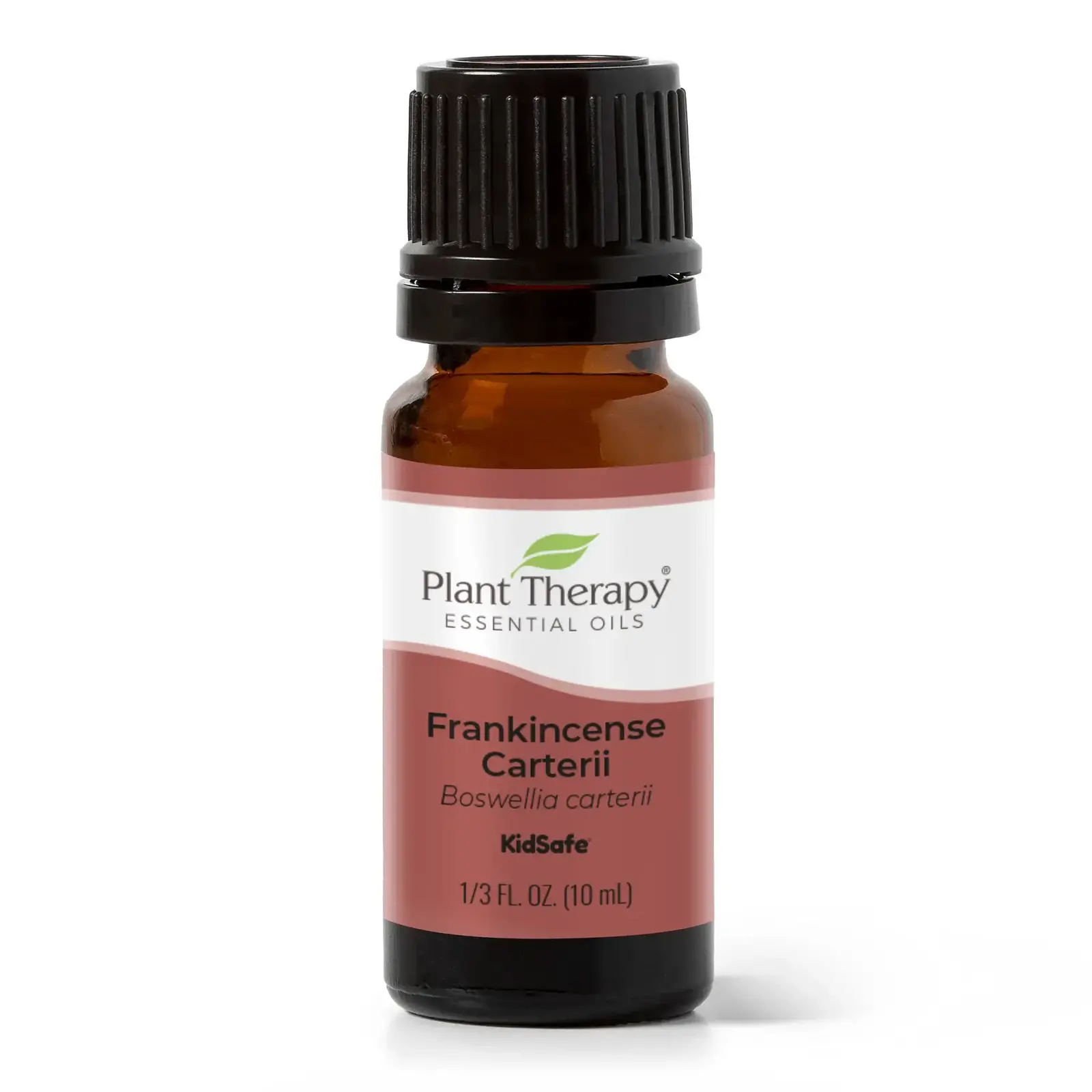 Plant Therapy Frankincense Carteri Essential Oil 10 mL