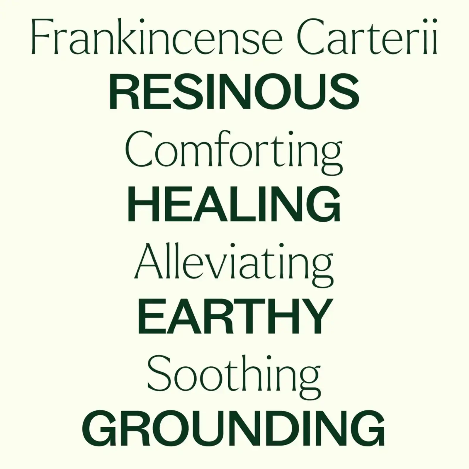 Plant Therapy Frankincense Carteri Essential Oil 10 mL