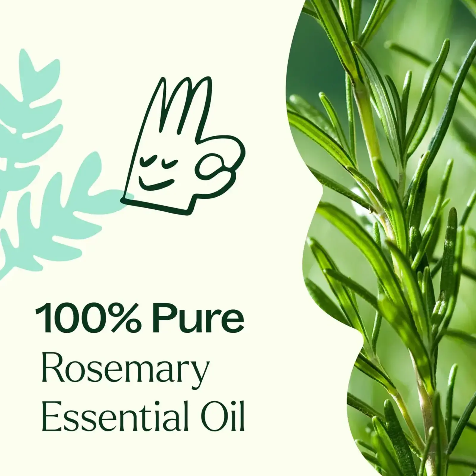 Plant Therapy Rosemary 1,8-Cineole Essential Oil 10 mL